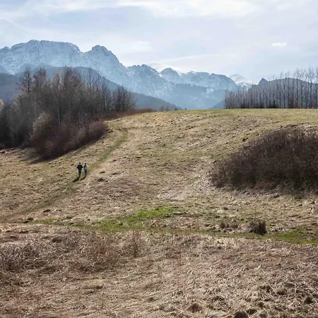 Misty Mountain Retreat * Zakopane
